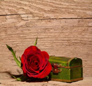 rose-557694_960_720
