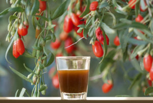 wolfberry shot
